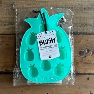 Blush Teal Pineapple Ice Tray